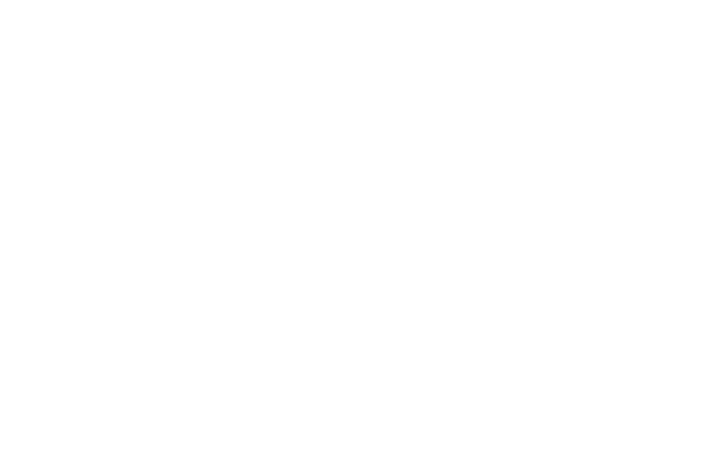 Montaia